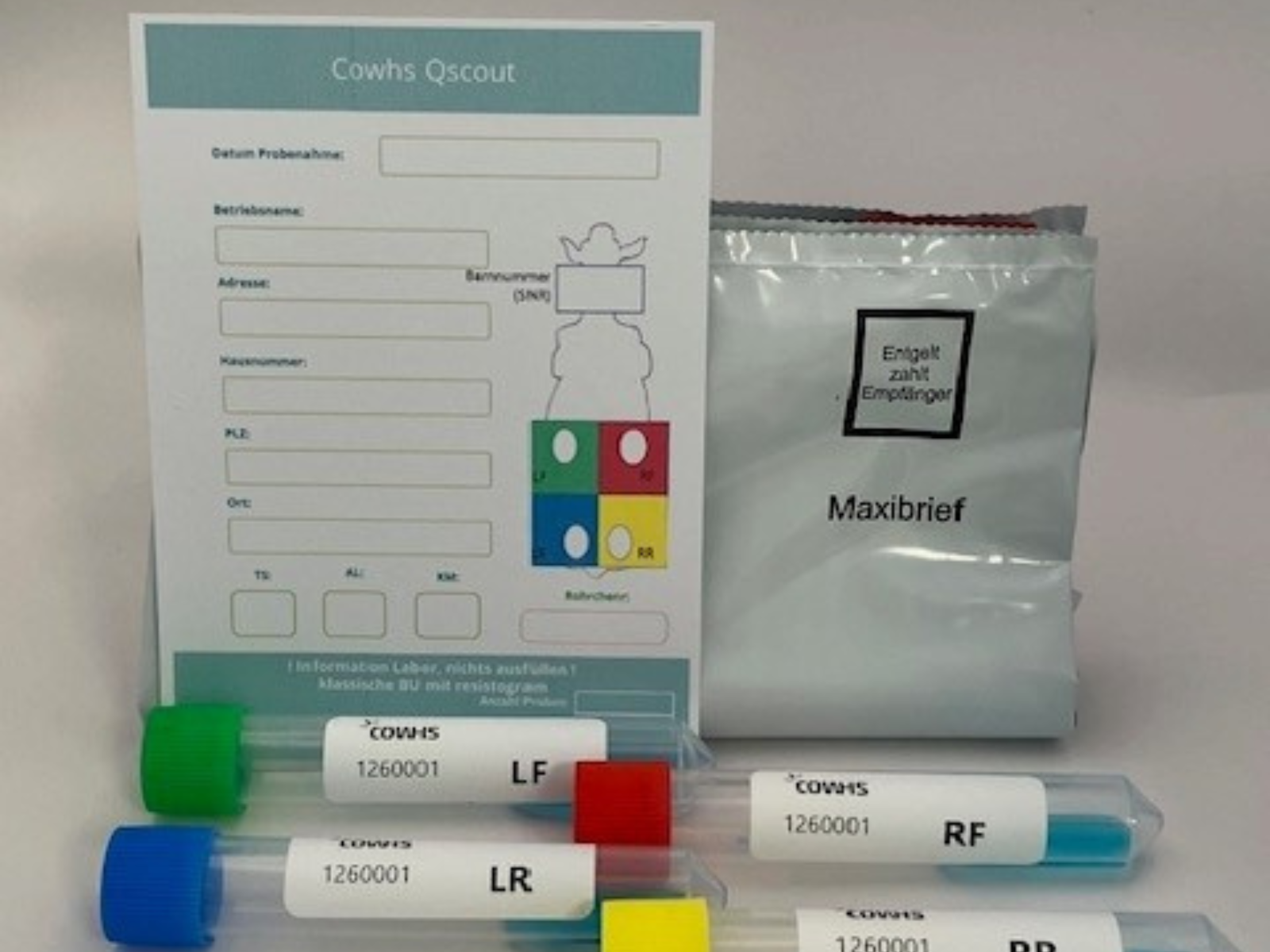 Q-Scout monsterkit met formulier en gekleurde kwartierbuisjes