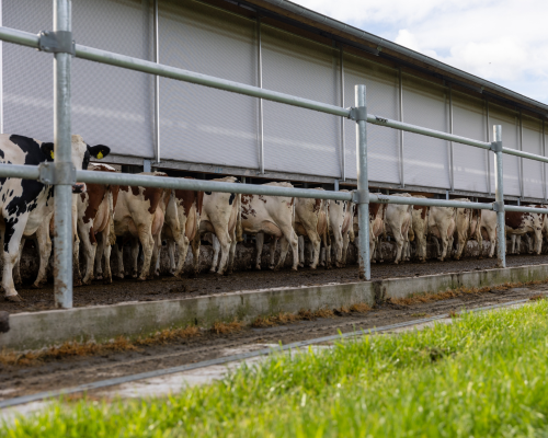 Unsere Methode